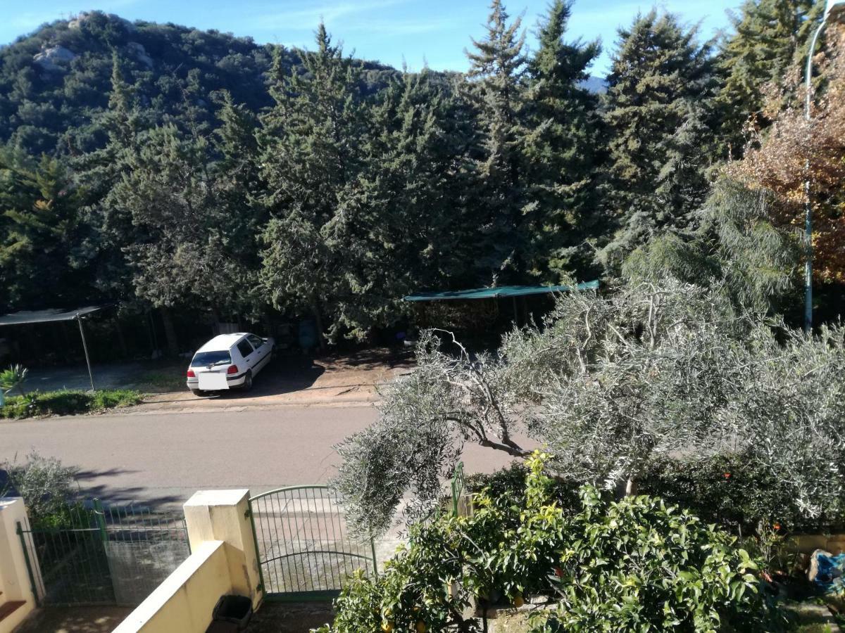 トルトリRicanteアパートメント エクステリア 写真